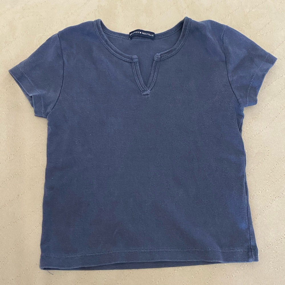 Brandy Melville Crop Top